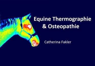 Equine Thermographie Catherina Fakler